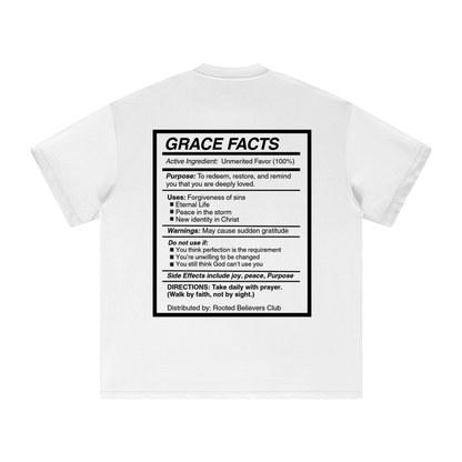 Grace broke chains not promises - Heavyweight Earth Tone T-Shirt