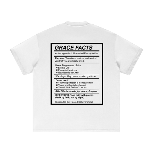 Grace broke chains not promises - Heavyweight Earth Tone T-Shirt